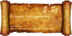 Ernyes Szilveszter névjegykártya